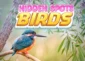 Hidden Spots – Birds HTML5 Game Play Online